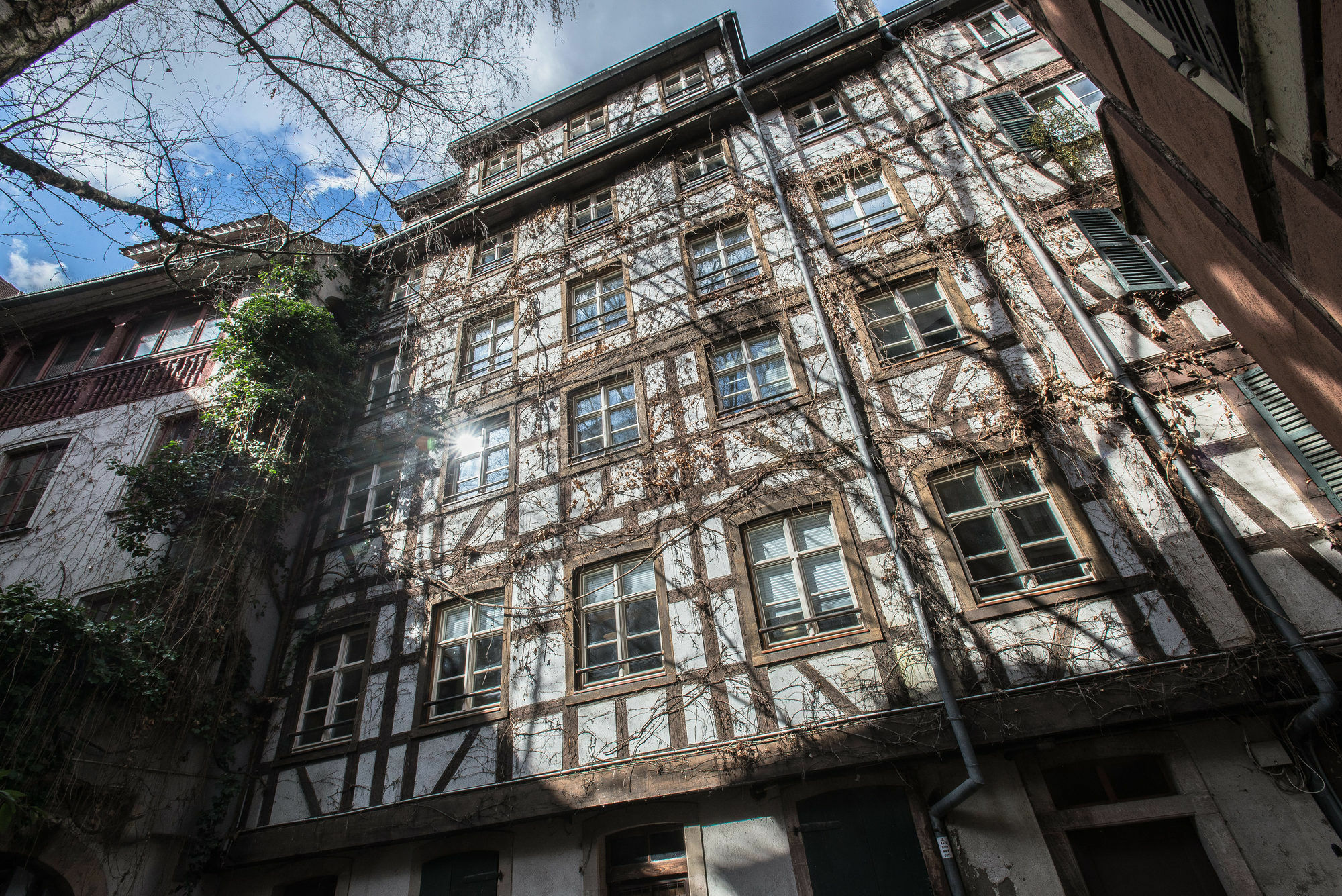 Appartement Des Moulins Strasbourg Extérieur photo
